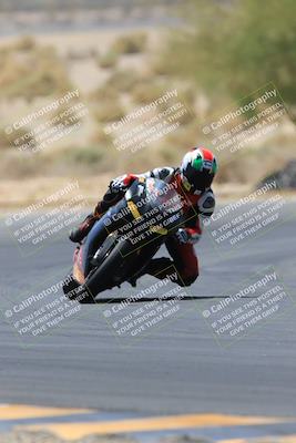 media/May-14-2023-SoCal Trackdays (Sun) [[024eb53b40]]/Turn 5 Tree of Life (1125am)/